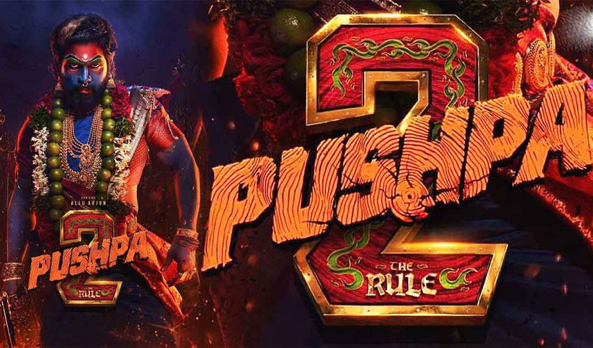 Pushpa 2: The Rule (2024) Dual Audio [Hindi ORG-Tamil] ET WEB-DL 480P